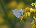 BUITEN BEELD Foto: 343208