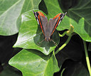 BUITEN BEELD Foto: 343211