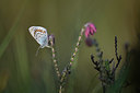 BUITEN BEELD Foto: 343215