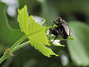 BUITEN BEELD Foto: 343231