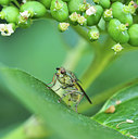BUITEN BEELD Foto: 343232