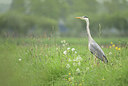 BUITEN BEELD Foto: 343291