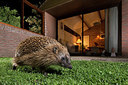 BUITEN BEELD Foto: 343366