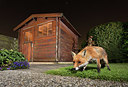 BUITEN BEELD Foto: 343372