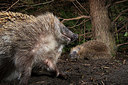 BUITEN BEELD Foto: 343424