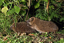 BUITEN BEELD Foto: 343426