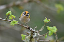 BUITEN BEELD Foto: 343471