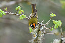 BUITEN BEELD Foto: 343473