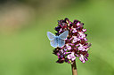 BUITEN BEELD Foto: 343571