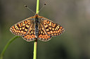 BUITEN BEELD Foto: 343579