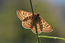BUITEN BEELD Foto: 343583