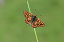 BUITEN BEELD Foto: 343586