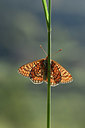 BUITEN BEELD Foto: 343587