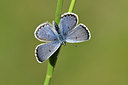 BUITEN BEELD Foto: 343595