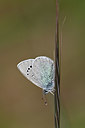 BUITEN BEELD Foto: 343611
