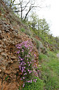 BUITEN BEELD Foto: 343667
