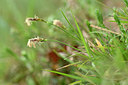 BUITEN BEELD Foto: 343669