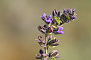 BUITEN BEELD Foto: 343695