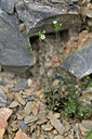 BUITEN BEELD Foto: 343735