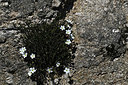 BUITEN BEELD Foto: 343753