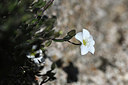 BUITEN BEELD Foto: 343754