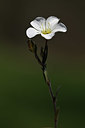 BUITEN BEELD Foto: 343757