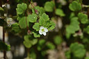 BUITEN BEELD Foto: 343775