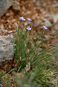 BUITEN BEELD Foto: 343788