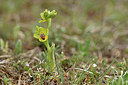 BUITEN BEELD Foto: 343796