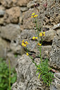 BUITEN BEELD Foto: 343808