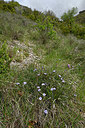 BUITEN BEELD Foto: 343811