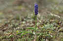 BUITEN BEELD Foto: 343834