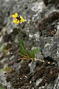 BUITEN BEELD Foto: 343842