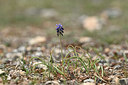 BUITEN BEELD Foto: 343858