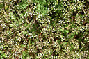 BUITEN BEELD Foto: 343863