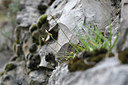 BUITEN BEELD Foto: 343869