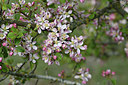 BUITEN BEELD Foto: 343871