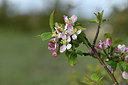 BUITEN BEELD Foto: 343874