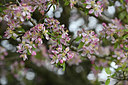 BUITEN BEELD Foto: 343875