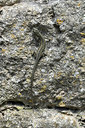 BUITEN BEELD Foto: 343906