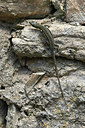 BUITEN BEELD Foto: 343907