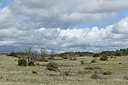 BUITEN BEELD Foto: 343921