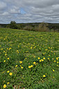 BUITEN BEELD Foto: 343927