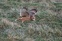 BUITEN BEELD Foto: 344063