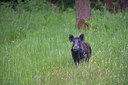 BUITEN BEELD Foto: 344101