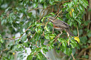 BUITEN BEELD Foto: 344189