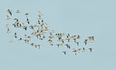 BUITEN BEELD Foto: 344199