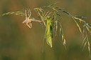 BUITEN BEELD Foto: 344285