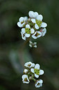BUITEN BEELD Foto: 344292