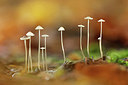 BUITEN BEELD Foto: 344299